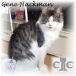 Gene Hackman 